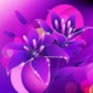 Meet your Posher, Tiana